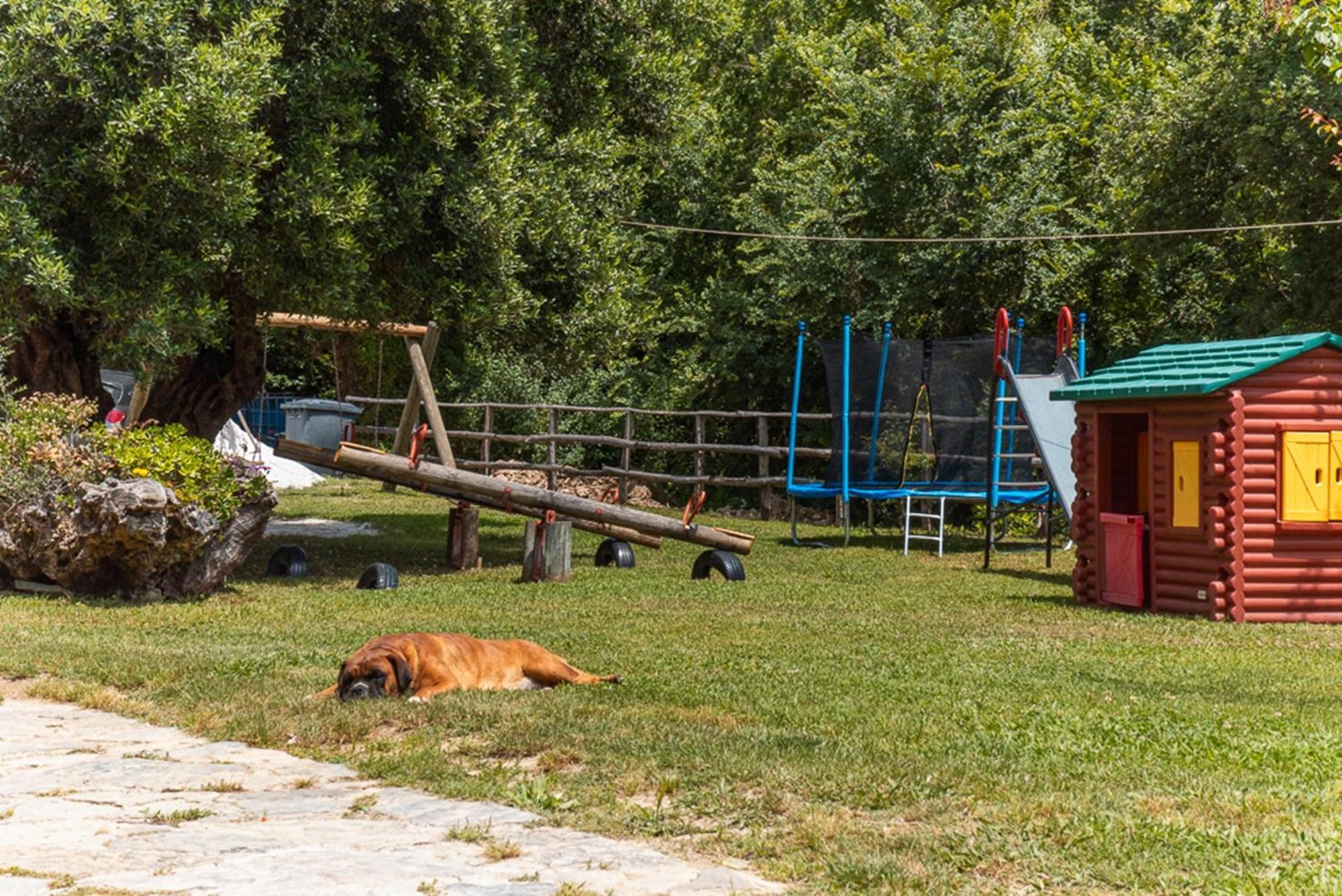 Agriturismo San Basilio Salento Экстерьер фото