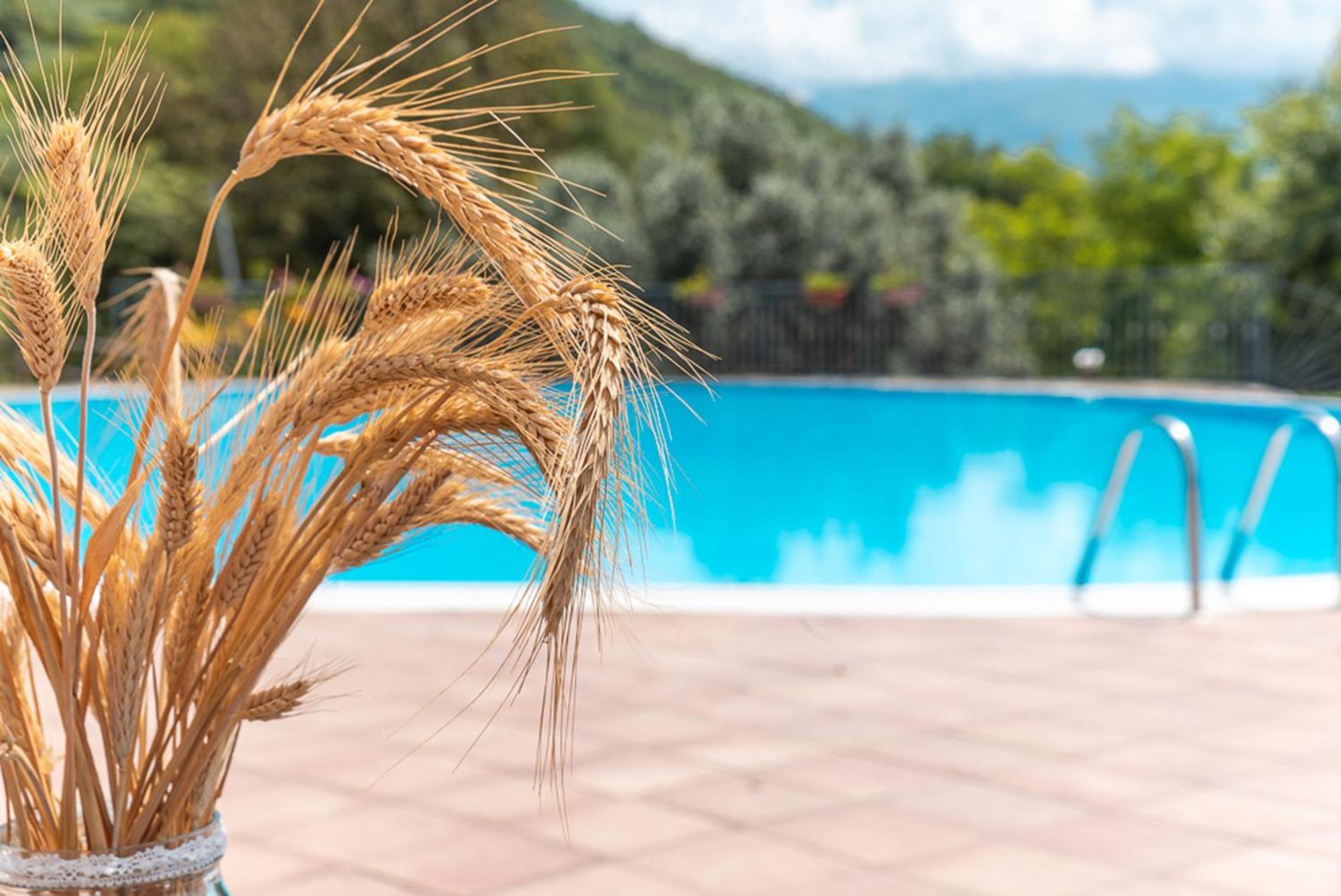 Agriturismo San Basilio Salento Экстерьер фото